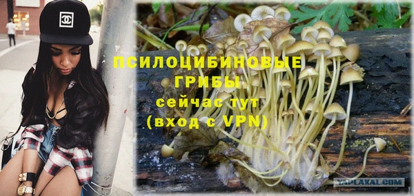 МДПВ Абинск