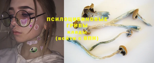 дмт Алексеевка