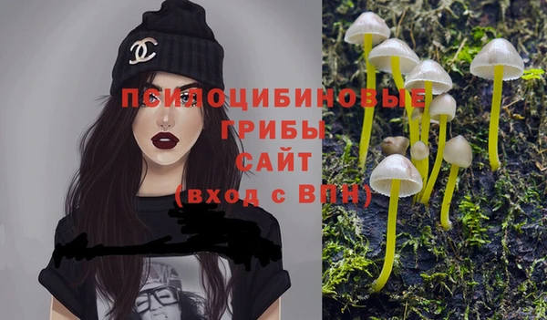 спиды Абаза
