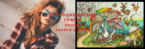 МДПВ Абинск