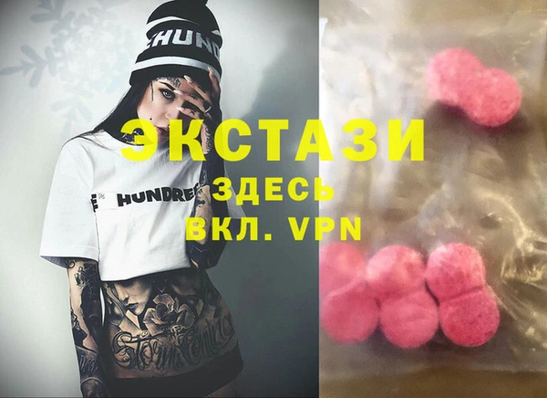 индика Алексин