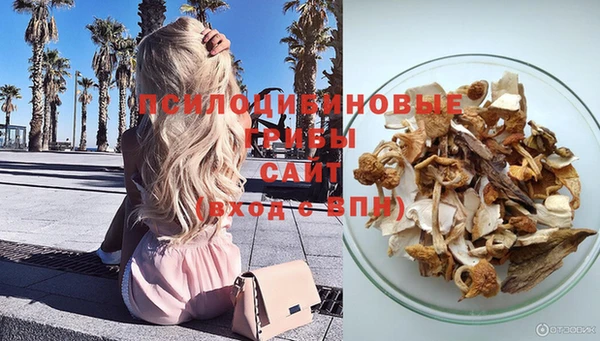 МДПВ Абинск