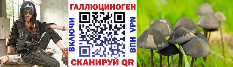 мега онион  Касимов  Галлюциногенные грибы Psilocybe 