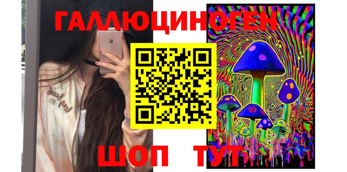 Псилоцибиновые грибы Psilocybe  Вход с VPN  Касимов  Галлюциногенные грибы мицелий 